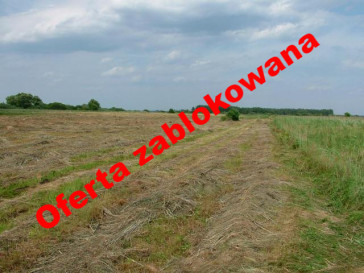 Działka Sprzedaż Czarna Łąka