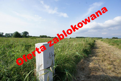 Działka Sprzedaż Czarna Łąka