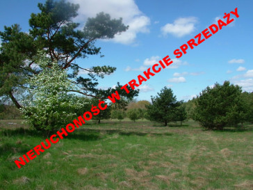 Działka Sprzedaż Dzisna