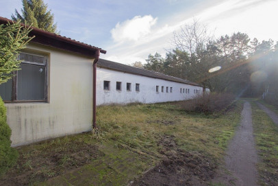 Działka Sprzedaż Trzeszczyn Kościuszki