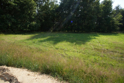 Działka Sprzedaż Marszewo