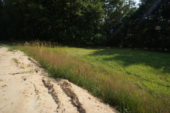 Działka Sprzedaż Marszewo 5