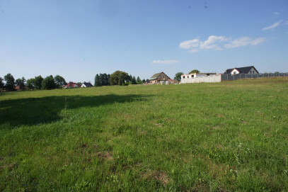 Działka Sprzedaż Marszewo