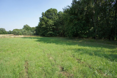 Działka Sprzedaż Marszewo
