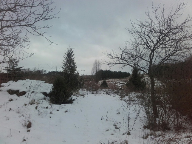 Działka Sprzedaż Sądów 3