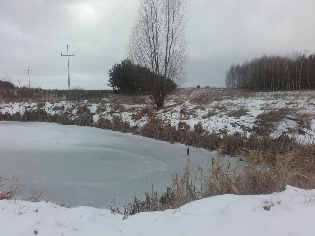 Działka Sprzedaż Sądów 5