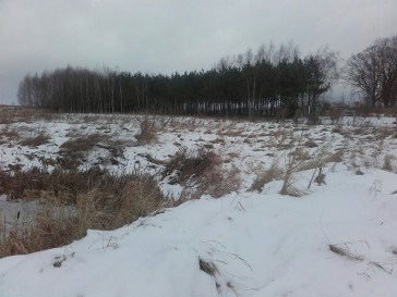 Działka Sprzedaż Sądów
