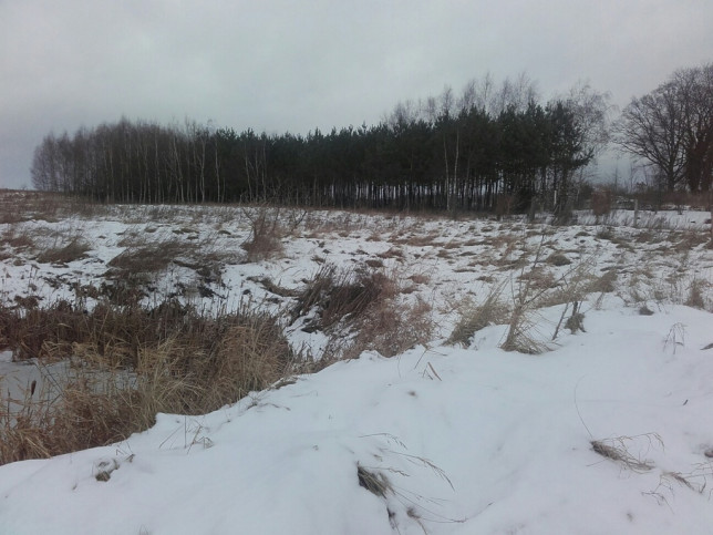 Działka Sprzedaż Sądów 6