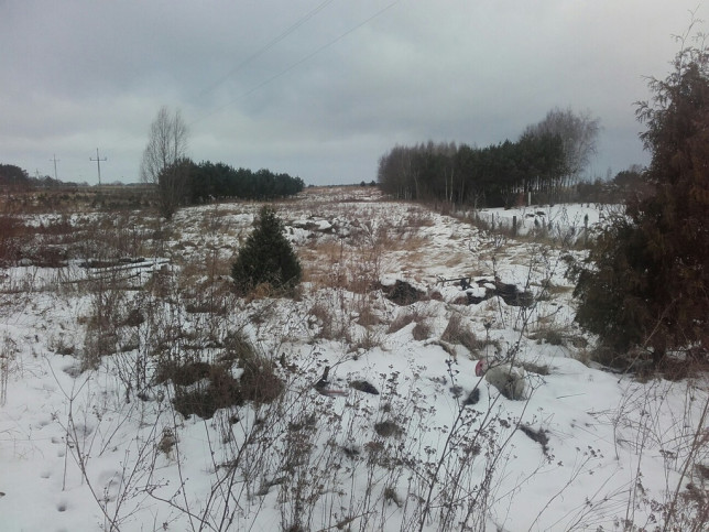 Działka Sprzedaż Sądów 8
