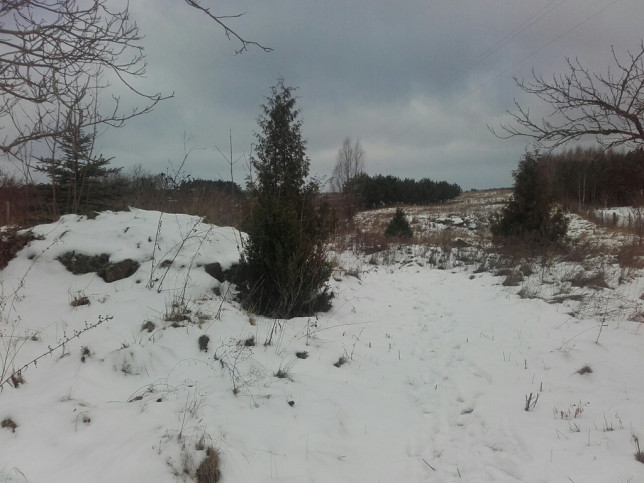 Działka Sprzedaż Sądów 9