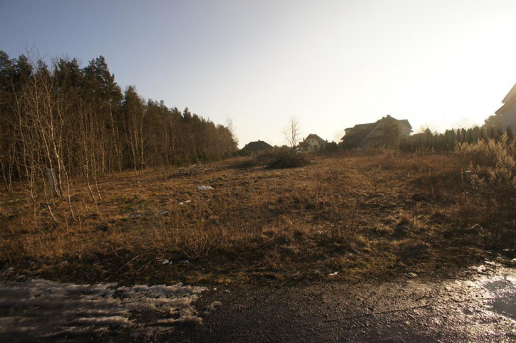 Działka Sprzedaż Rurzyca 6