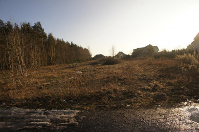 Działka Sprzedaż Rurzyca