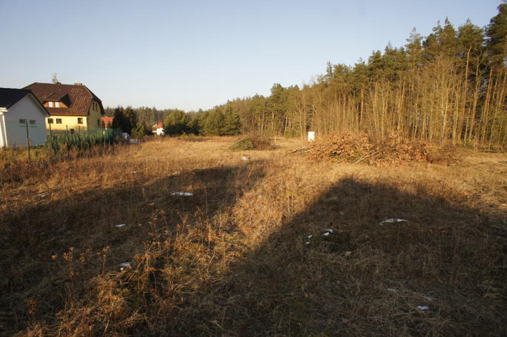 Działka Sprzedaż Rurzyca 7