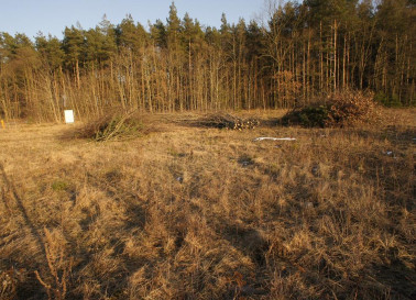 Działka Sprzedaż Rurzyca