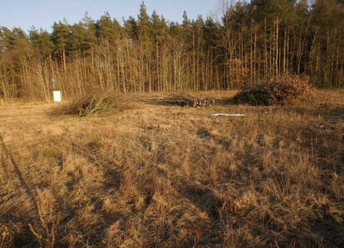 Działka Sprzedaż Rurzyca 11