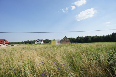 Działka Sprzedaż Marszewo