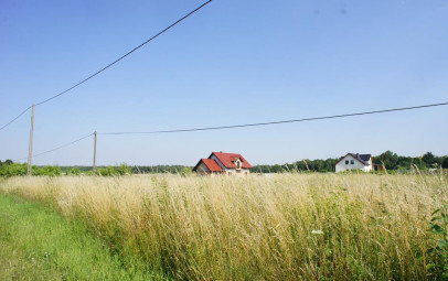 Działka Sprzedaż Marszewo