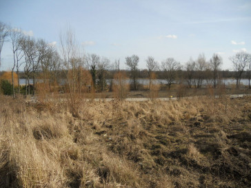 Działka Sprzedaż Kurów
