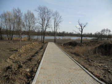 Działka Sprzedaż Kurów
