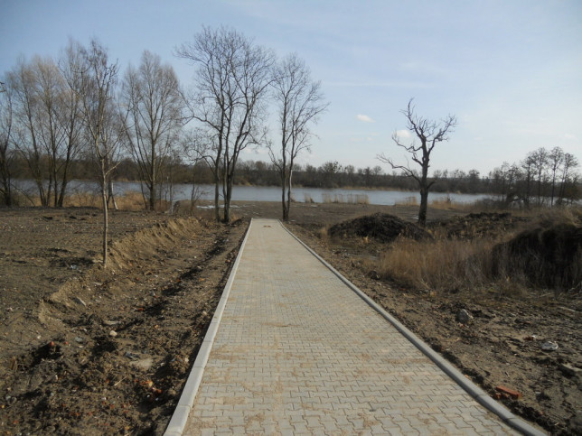 Działka Sprzedaż Kurów 1