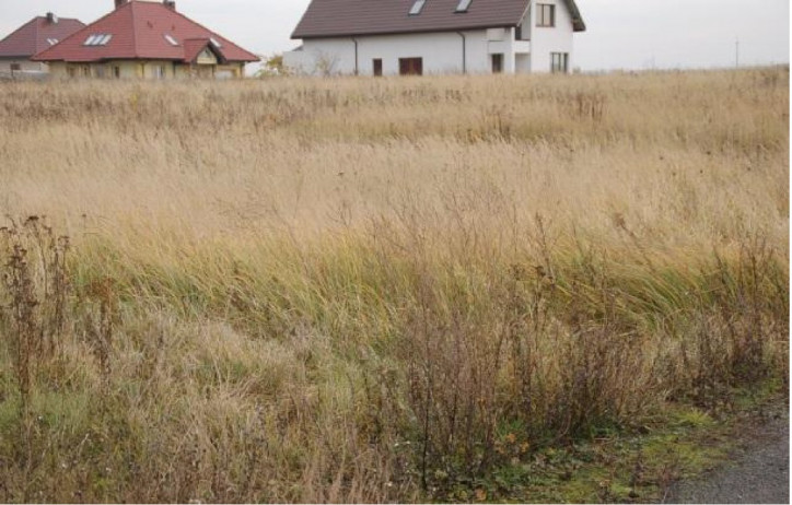 Działka Sprzedaż Wołczkowo 1