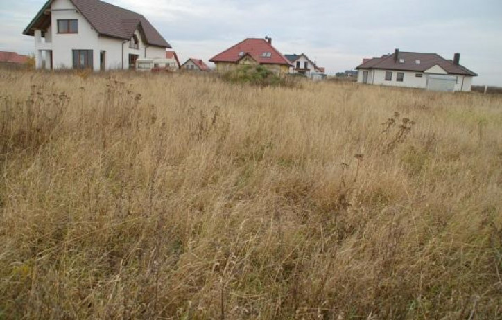 Działka Sprzedaż Wołczkowo 3