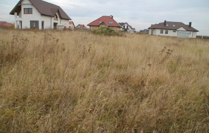 Działka Sprzedaż Wołczkowo