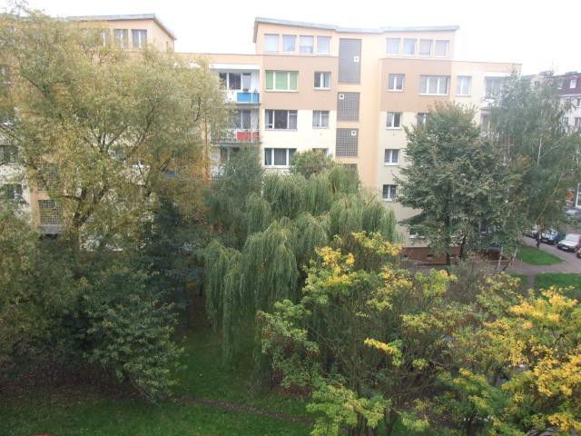 Mieszkanie Wynajem Szczecin Centrum al.&nbsp;Wyzwolenia 7