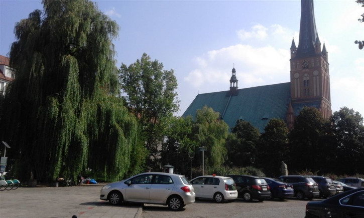 Mieszkanie Wynajem Szczecin Stare Miasto Koński Kierat 21
