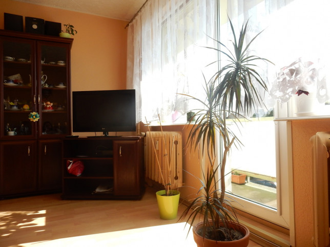 Mieszkanie Sprzedaż Szczecin Zdroje Gryfińska 1
