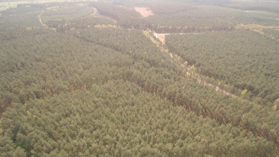 Inwestycja Strumiany