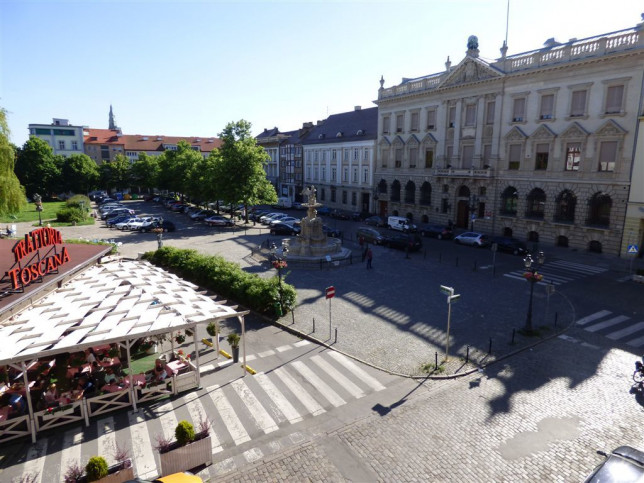 Lokal Wynajem Szczecin Stare Miasto 15