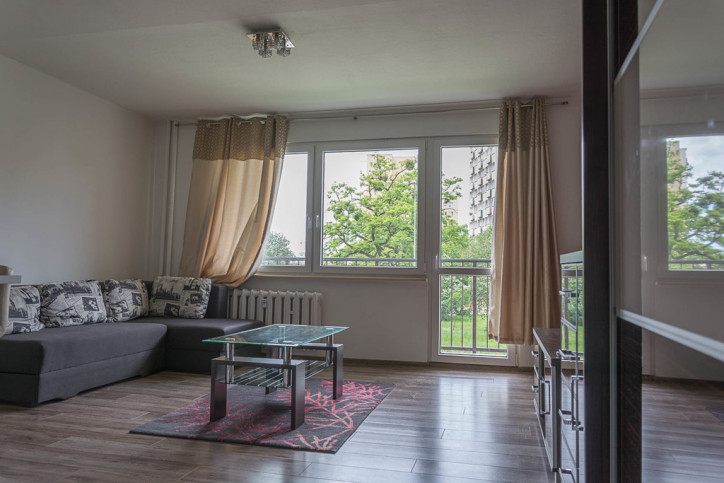 Mieszkanie Wynajem Szczecin Centrum Potulicka 2