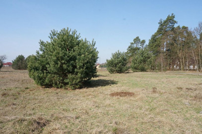 Działka Sprzedaż Rurzyca