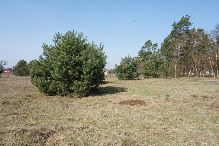 Działka Sprzedaż Rurzyca 3
