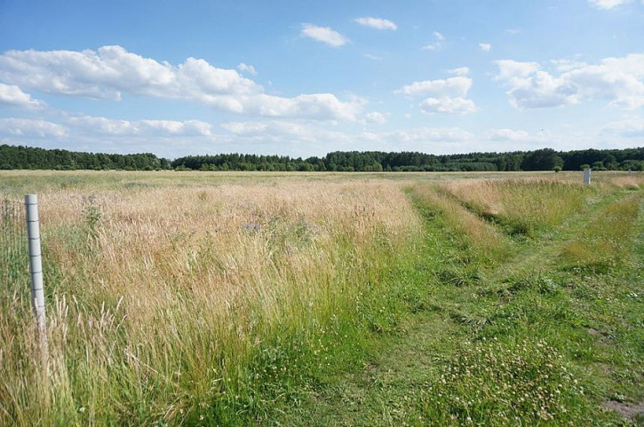 Działka Sprzedaż Białuń 1