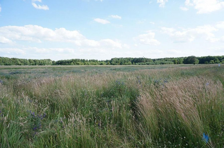 Działka Sprzedaż Białuń 2