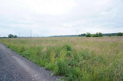 Działka Sprzedaż Żdżary
