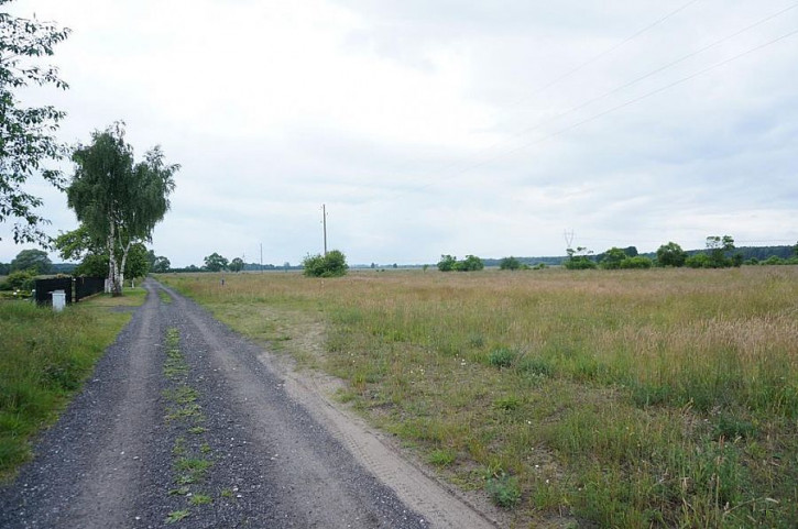 Działka Sprzedaż Żdżary 8