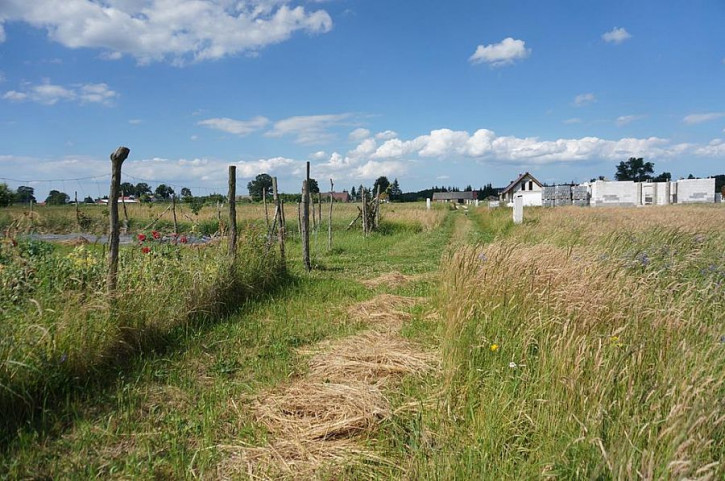 Działka Sprzedaż Białuń 1