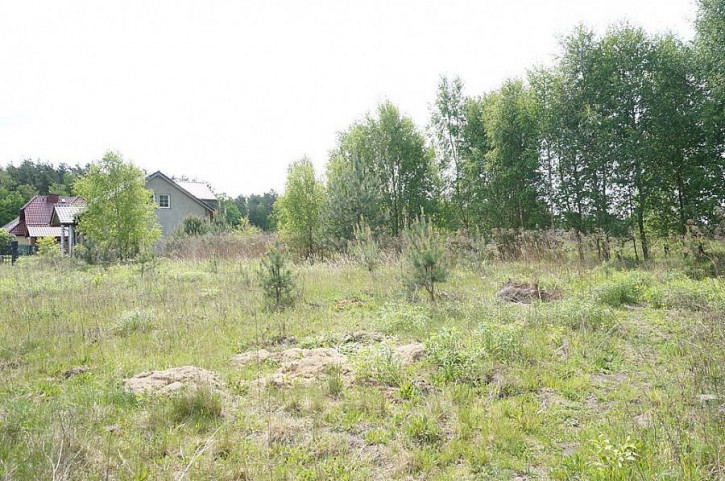 Działka Sprzedaż Rurzyca 1