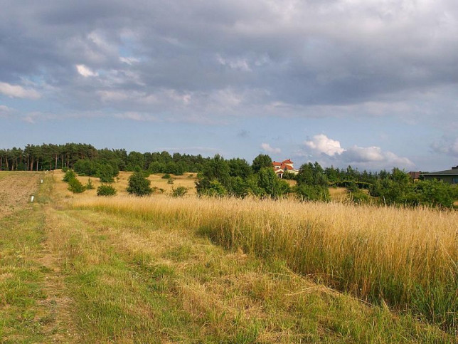 Działka Sprzedaż Dobra 2
