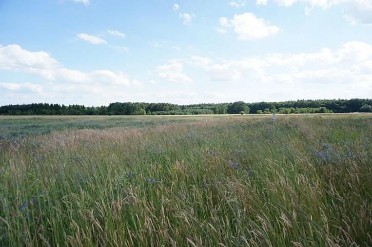 Działka Sprzedaż Białuń 3