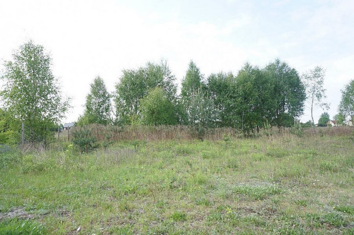 Działka Sprzedaż Rurzyca 3