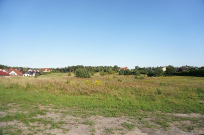 Działka Sprzedaż Grzepnica