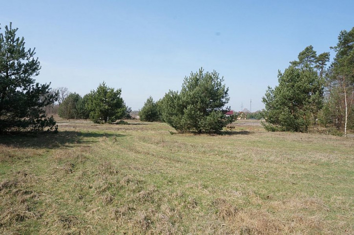 Działka Sprzedaż Rurzyca 1