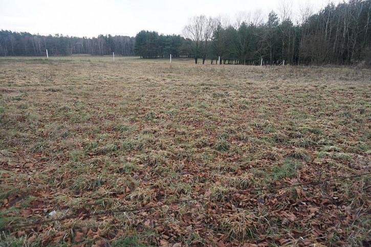 Działka Sprzedaż Marszewo 1