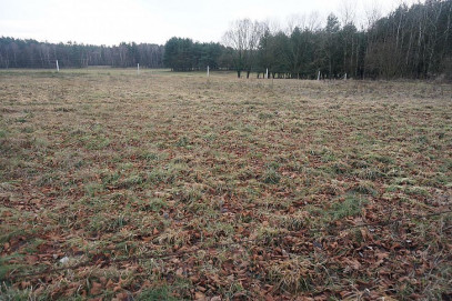 Działka Sprzedaż Marszewo