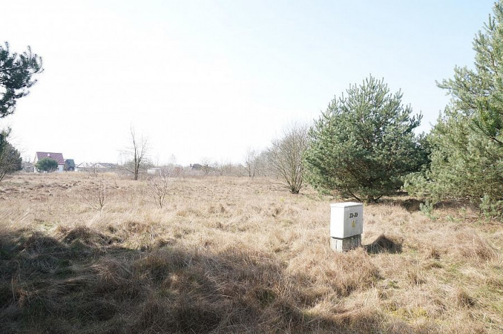 Działka Sprzedaż Rurzyca 5