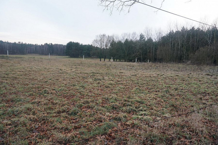 Działka Sprzedaż Marszewo 4